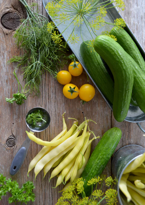 home vegetable garden