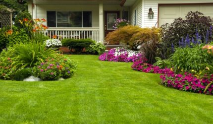 Fall Lawn Maintenance Checklist
